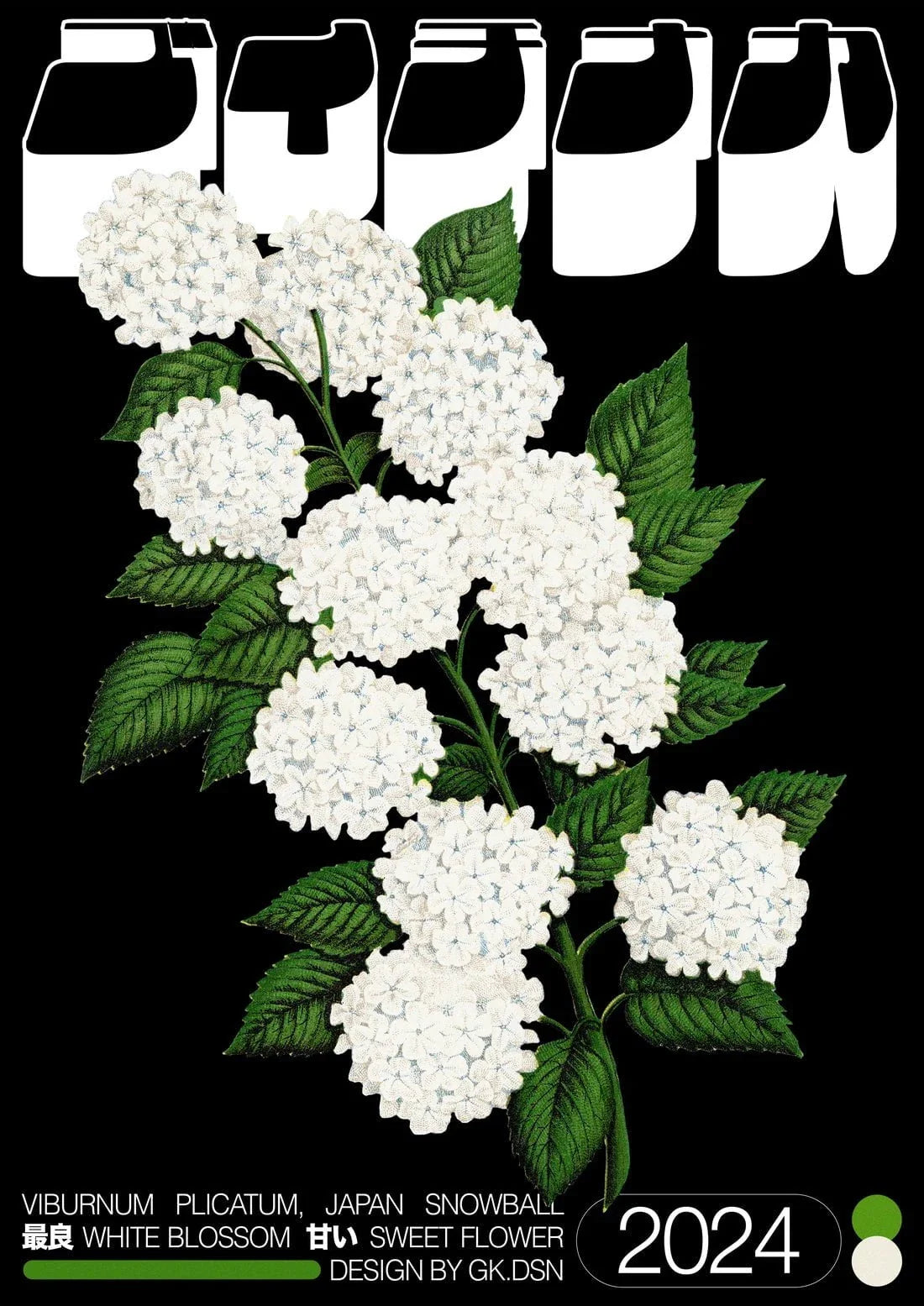 Viburnum Plicatum